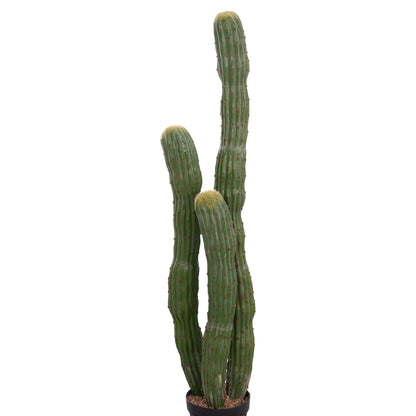 Decorative Synthetic Plant In Pot Hm4747 Cactus Φ17.5x115hcm.
