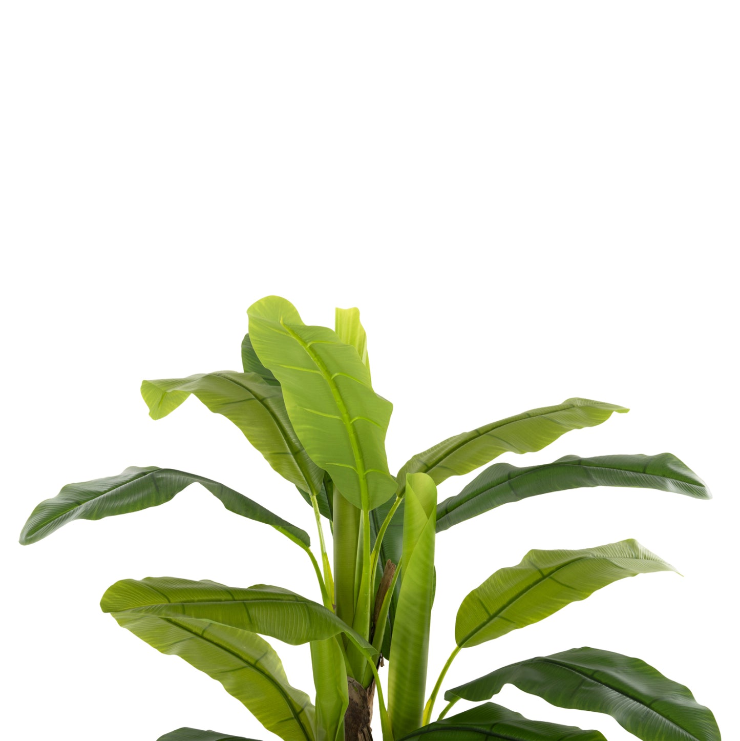 Decorative Synthetic Plant Hm7968 BanΑΝΑ Tree In Pot 123h Cm.