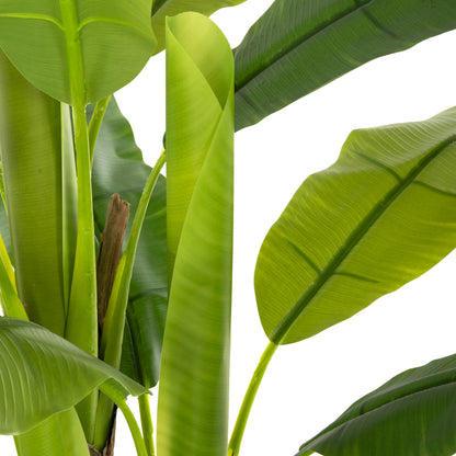 Decorative Synthetic Plant Hm7968 BanΑΝΑ Tree In Pot 123h Cm.