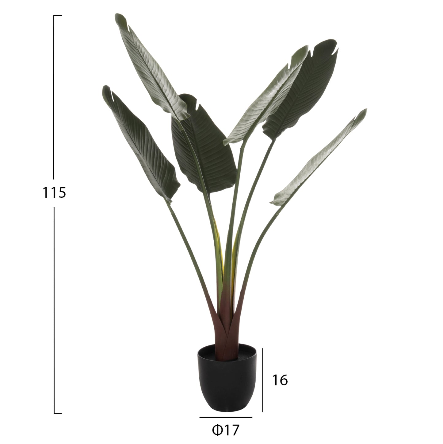 Synthetic Plant Strelitziaceae - H115 cm