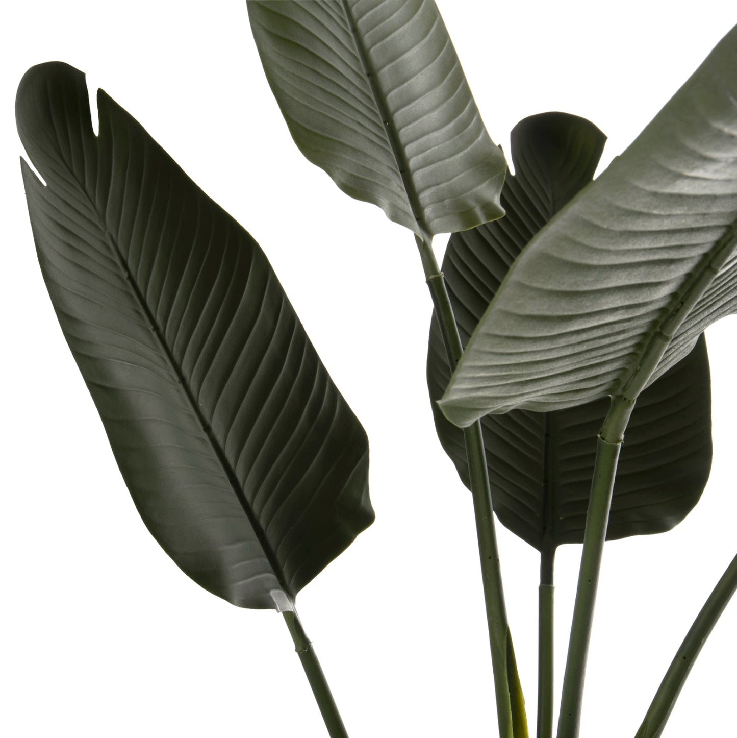 Synthetic Plant Strelitziaceae - H115 cm