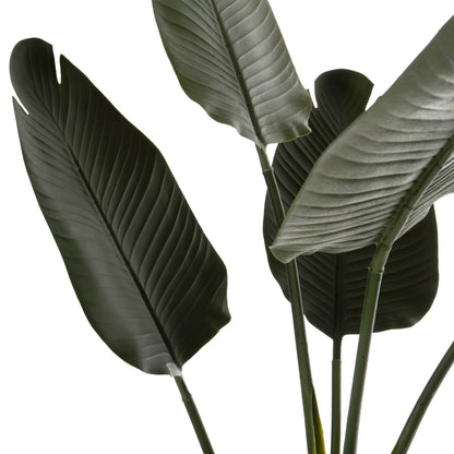 Synthetic Plant Strelitziaceae - H115 cm