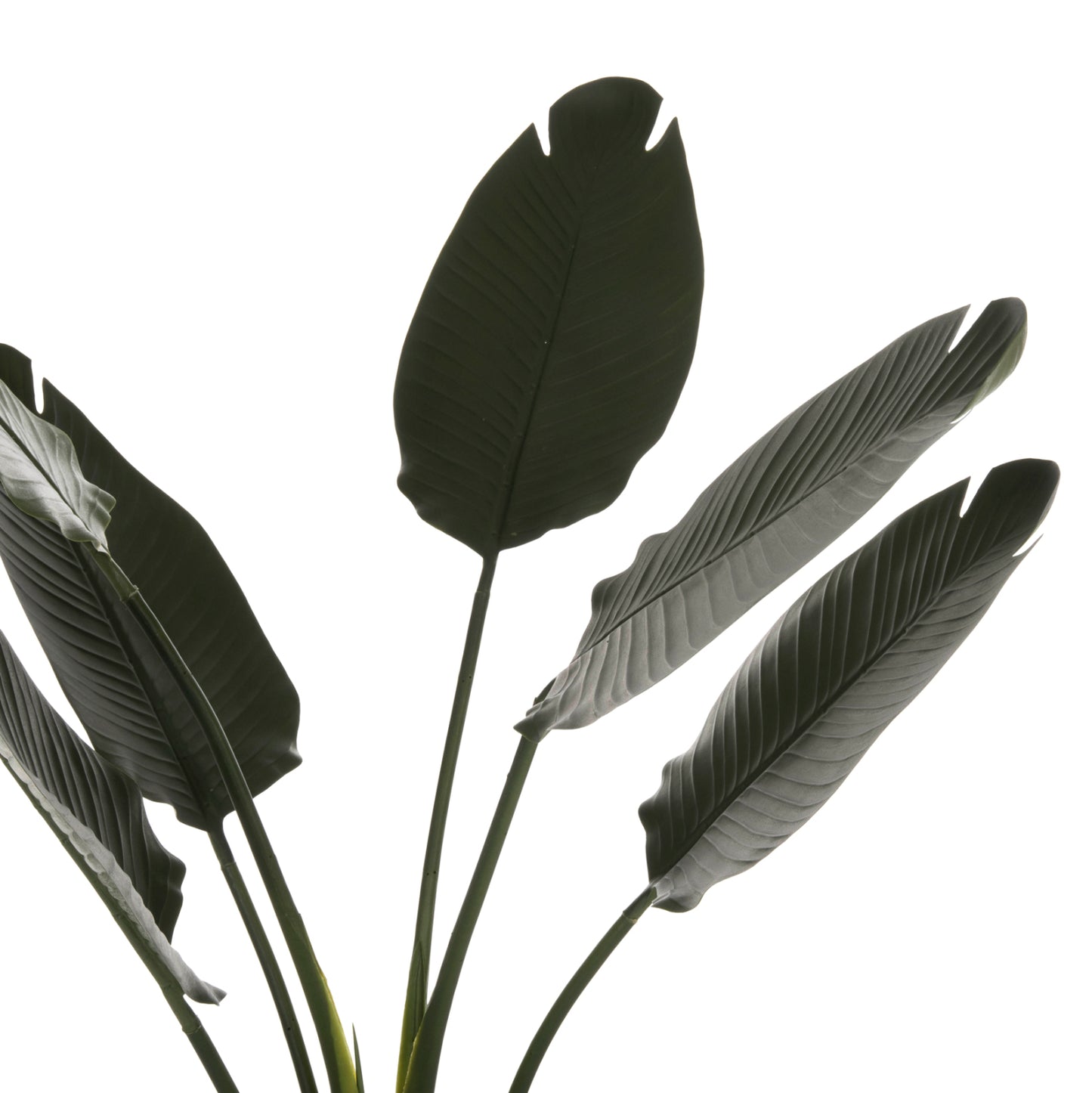 Synthetic Plant Strelitziaceae - H115 cm