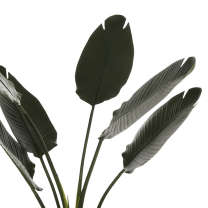 Synthetic Plant Strelitziaceae - H115 cm