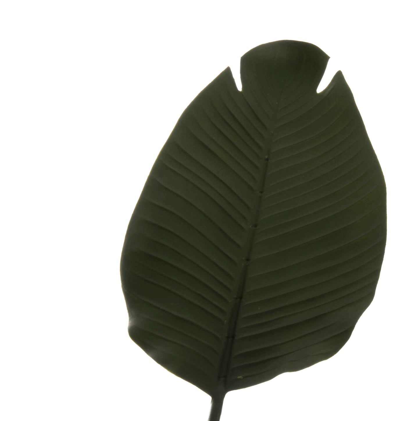 Synthetic Plant Strelitziaceae - H115 cm