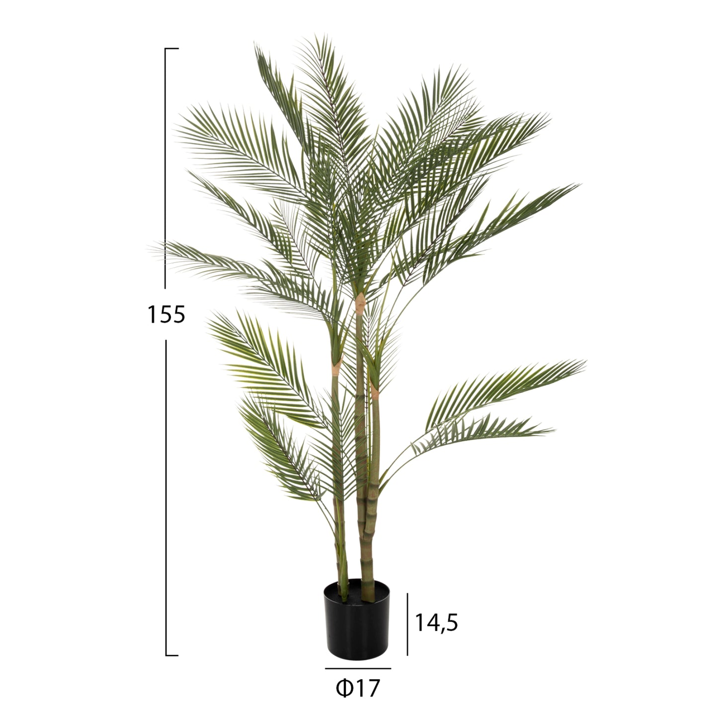 Decorative Synthetic Plant In Pot Hm7970 Kwai Tree Φ17x14,5-155hcm.