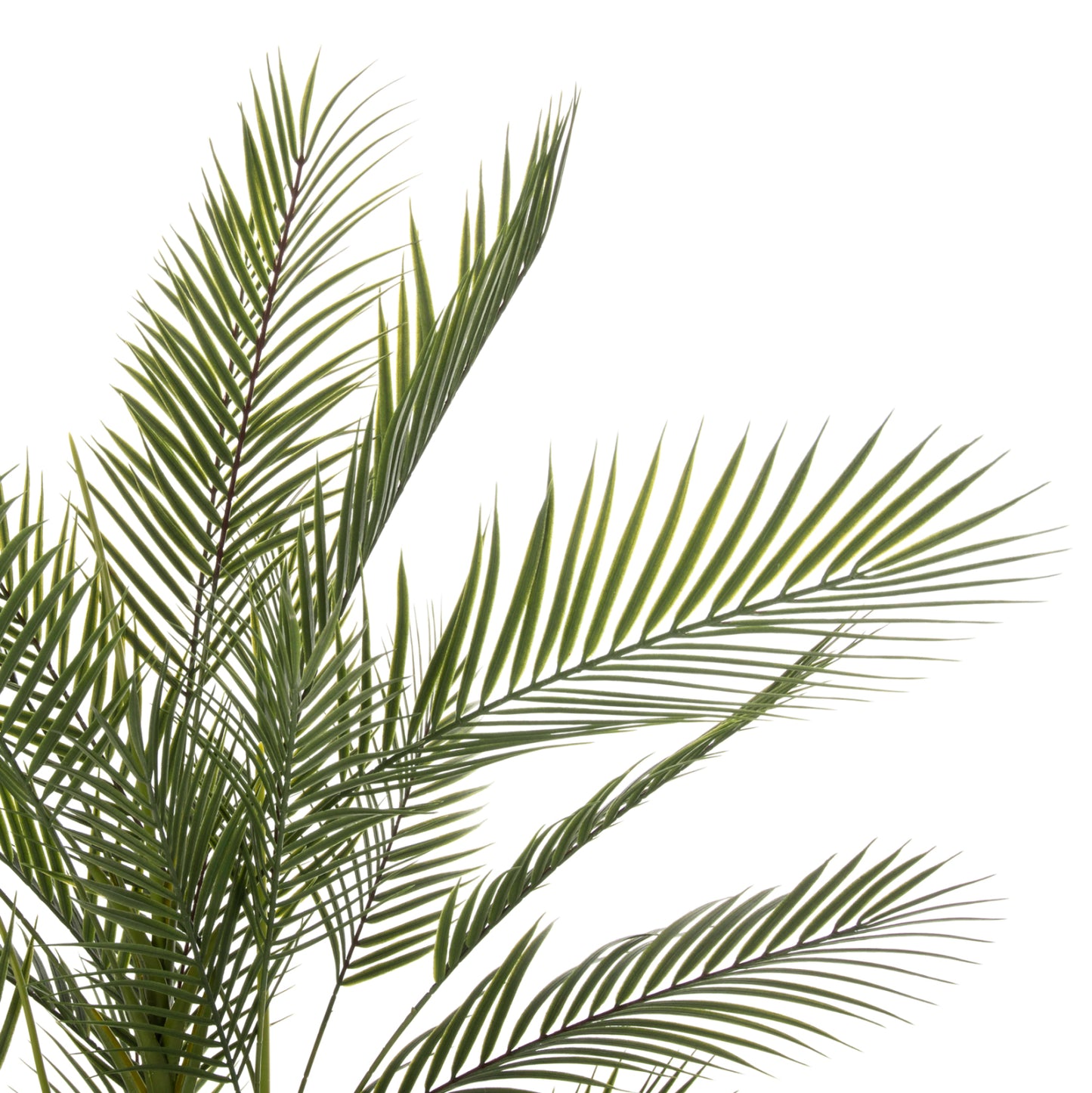 Decorative Synthetic Plant In Pot Hm7970 Kwai Tree Φ17x14,5-155hcm.