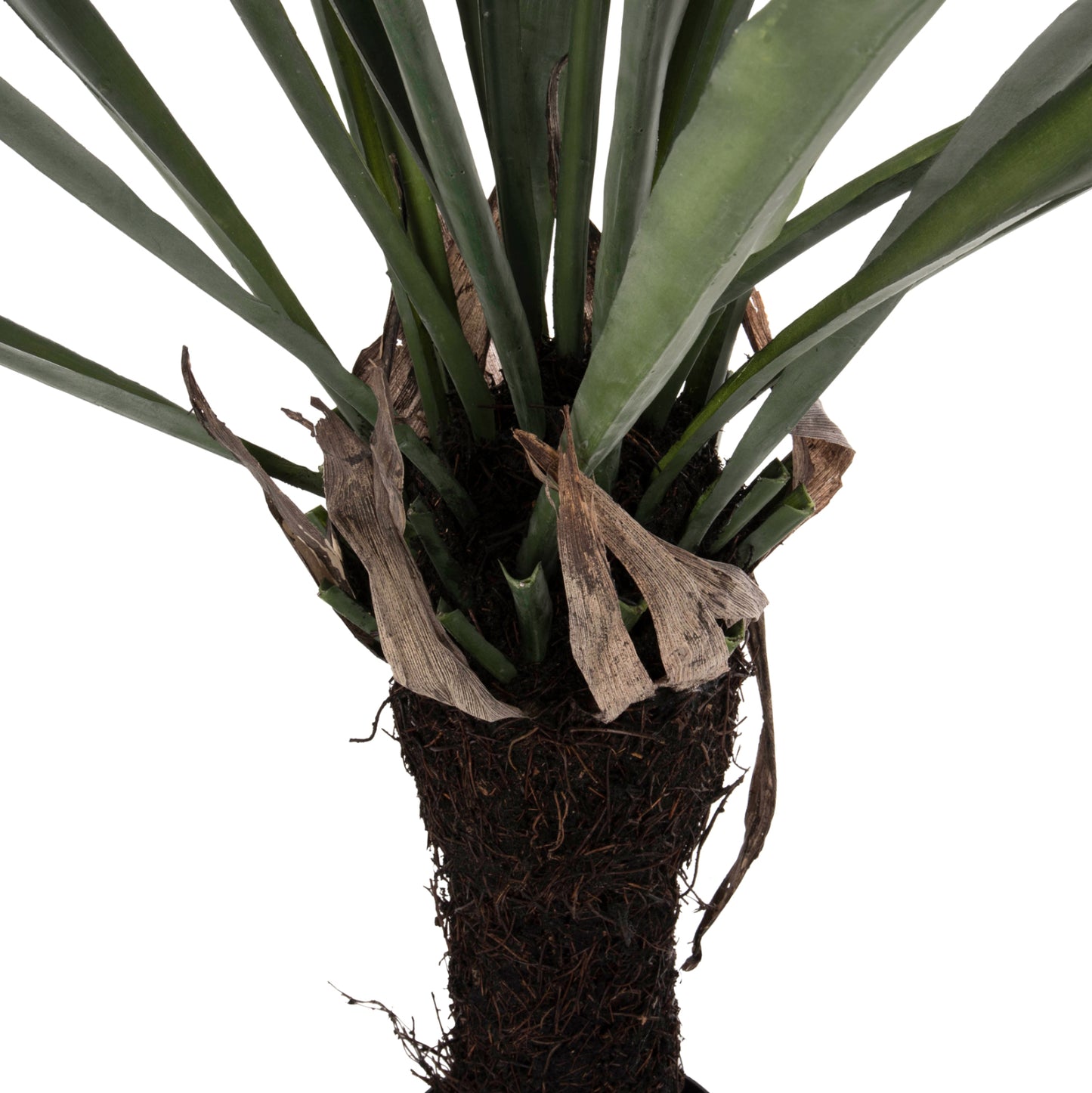 Decorative Synthetic Plant Hm7975 Asplenium Prolongatum (fern) In Pot 137hcm.
