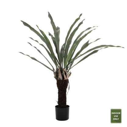 Decorative Synthetic Plant Hm7975 Asplenium Prolongatum (fern) In Pot 137hcm.