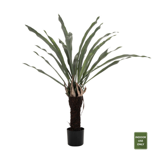 Decorative Synthetic Plant Hm7975 Asplenium Prolongatum (fern) In Pot 137hcm.