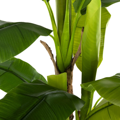 Decorative Synthetic Plant Hm7977 BanΑΝΑ Tree In Pot 150h Cm.