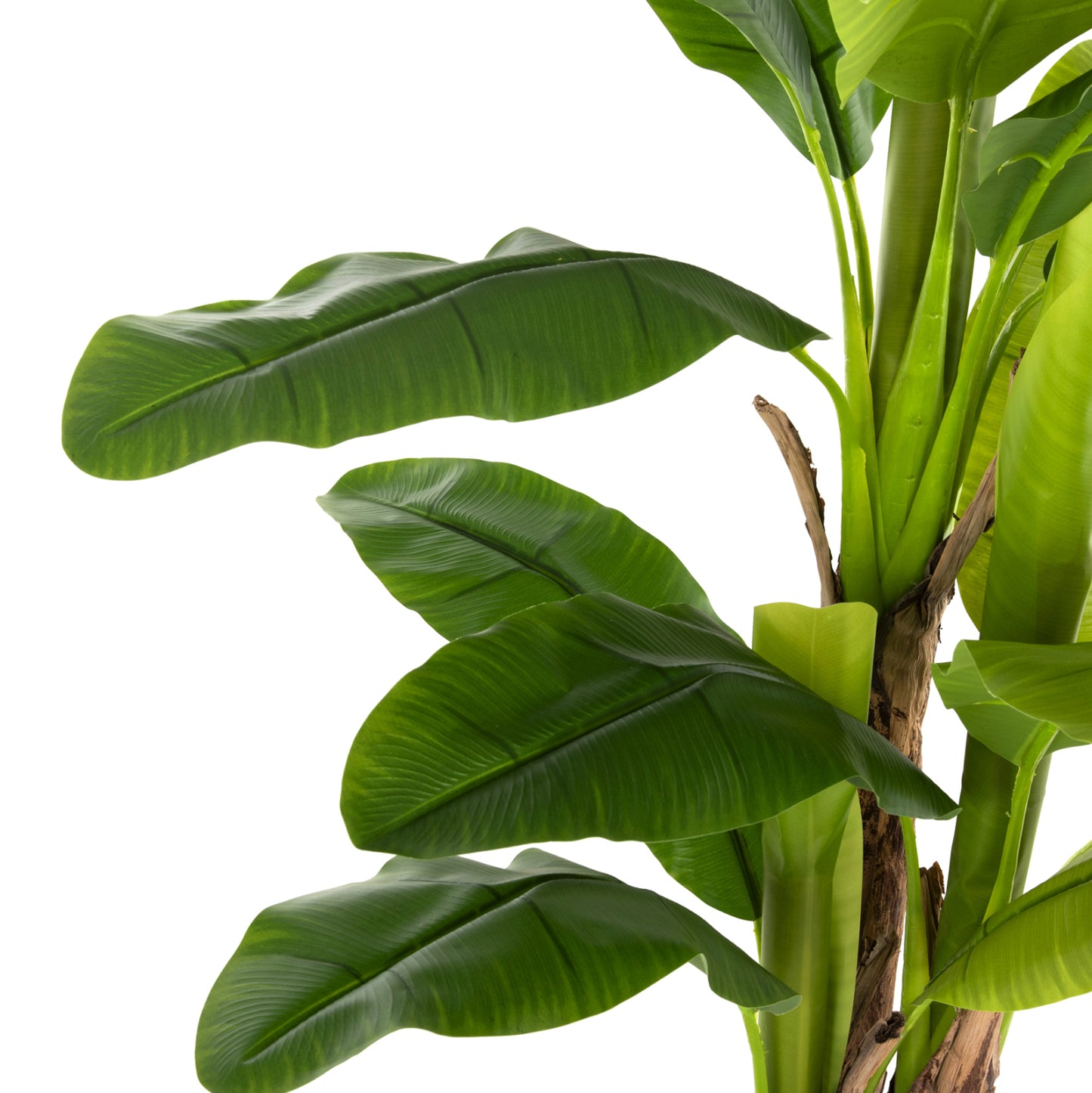 Decorative Synthetic Plant Hm7977 BanΑΝΑ Tree In Pot 150h Cm.