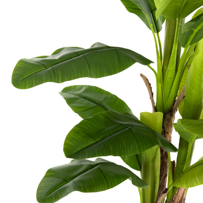 Decorative Synthetic Plant Hm7977 BanΑΝΑ Tree In Pot 150h Cm.