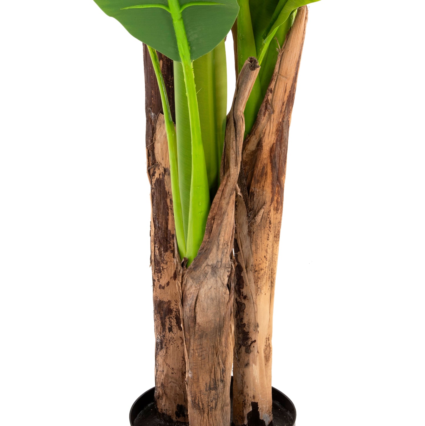Decorative Synthetic Plant Hm7977 BanΑΝΑ Tree In Pot 150h Cm.