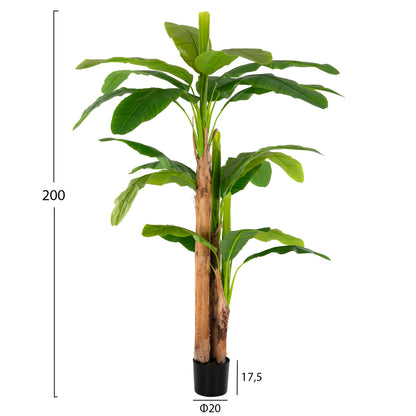 Decorative Synthetic Plant Hm7978 BanΑΝΑ Tree In Pot 200h Cm.