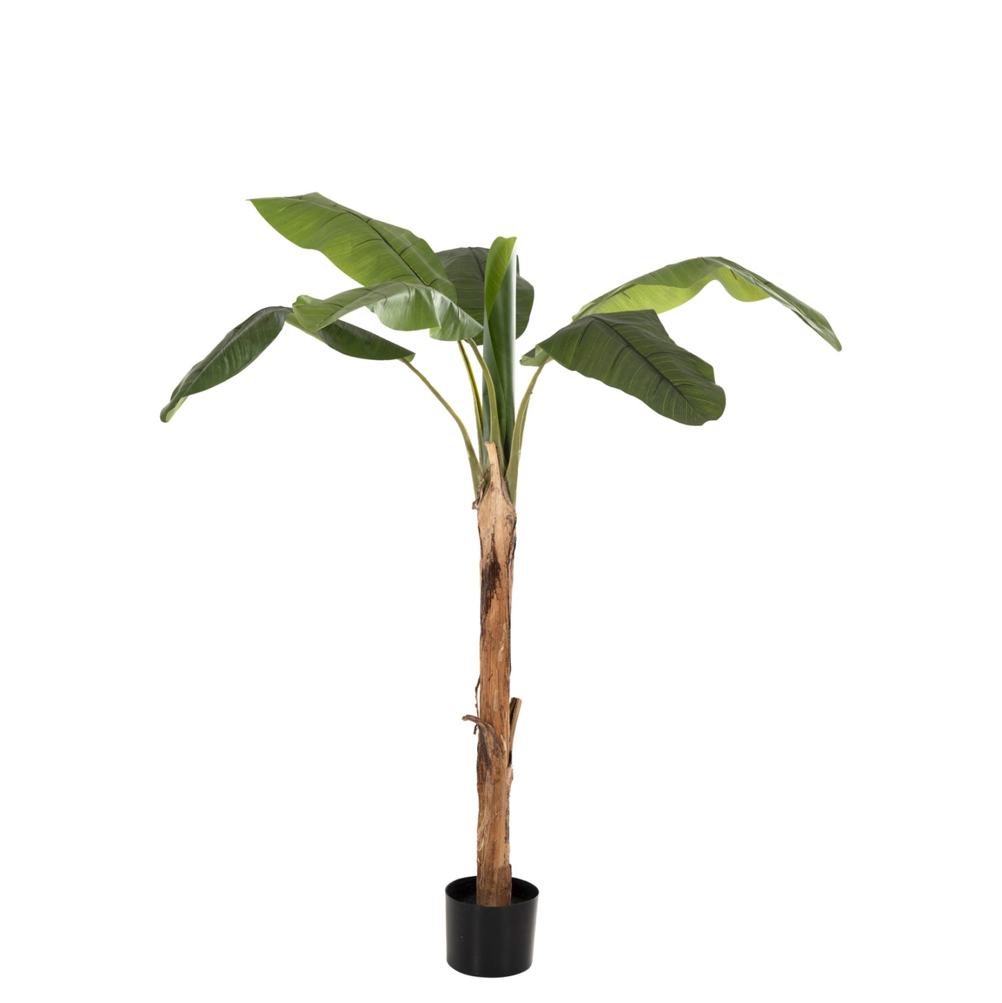 Decorative Synthetic Plant Hm7978 BanΑΝΑ Tree In Pot 200h Cm.