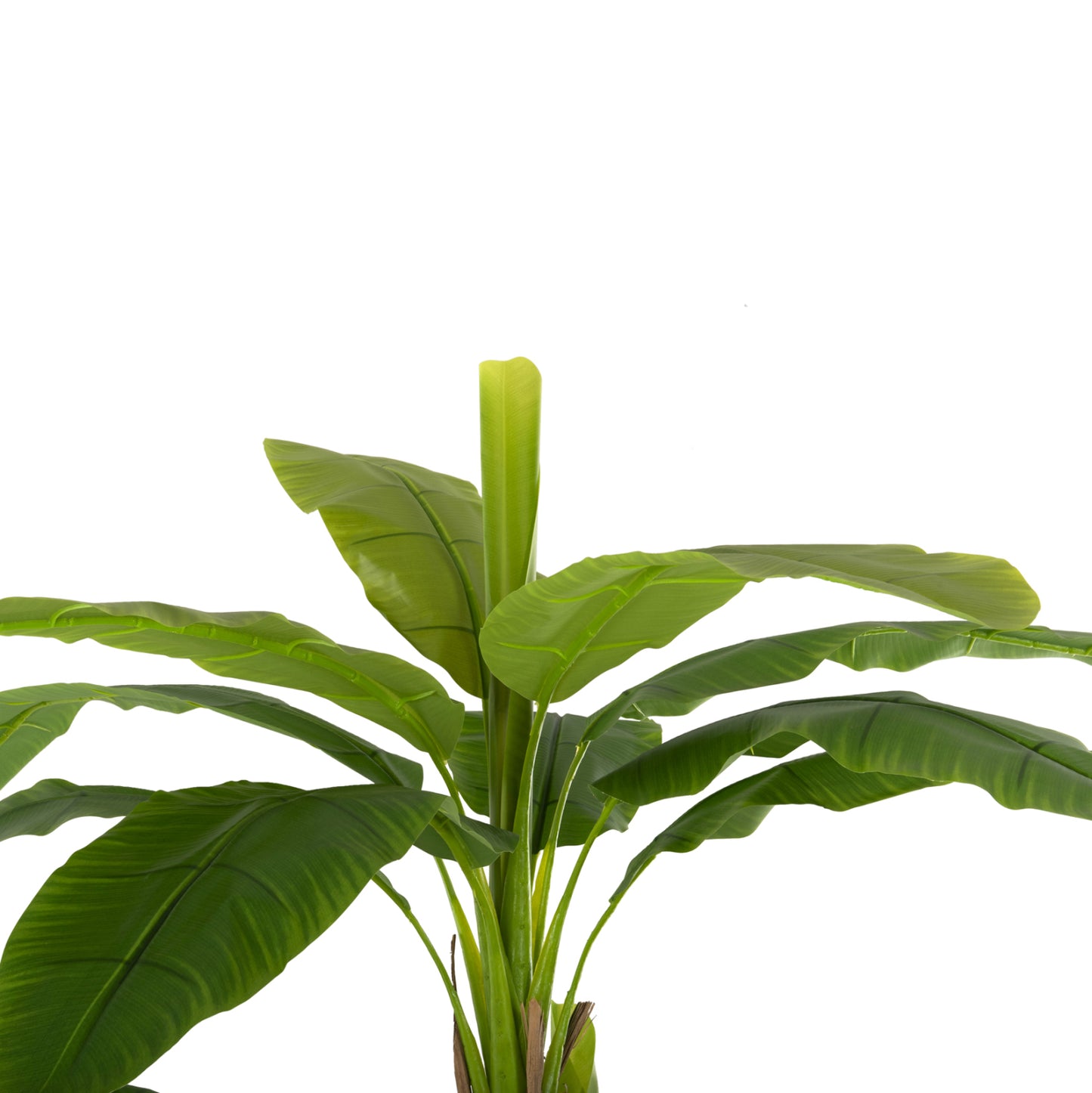 Decorative Synthetic Plant Hm7978 BanΑΝΑ Tree In Pot 200h Cm.