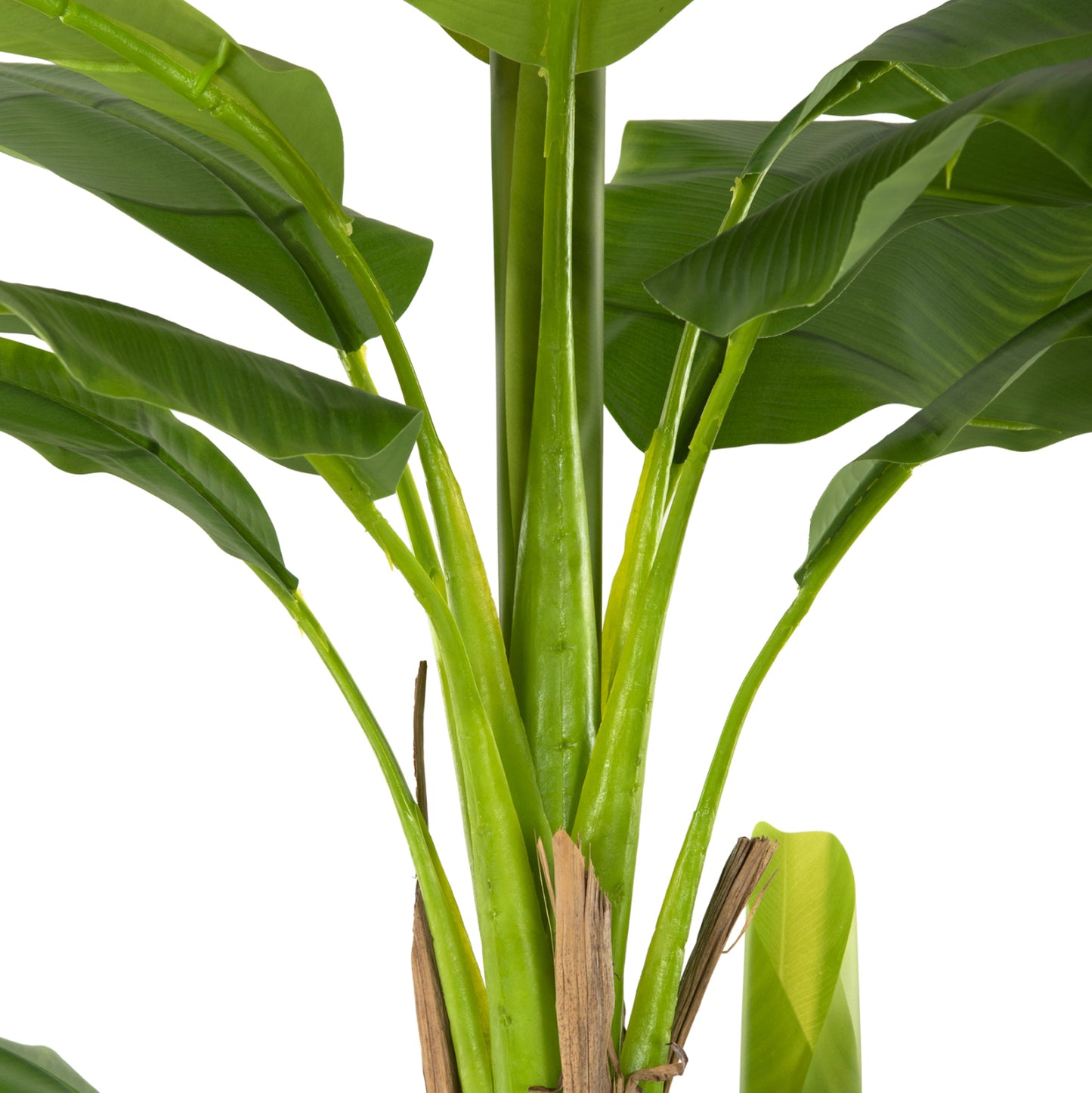 Decorative Synthetic Plant Hm7978 BanΑΝΑ Tree In Pot 200h Cm.