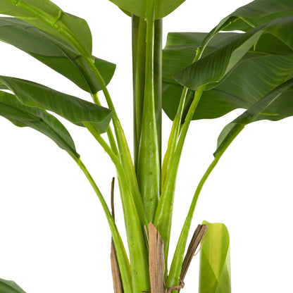 Decorative Synthetic Plant Hm7978 BanΑΝΑ Tree In Pot 200h Cm.