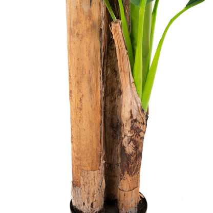 Decorative Synthetic Plant Hm7978 BanΑΝΑ Tree In Pot 200h Cm.