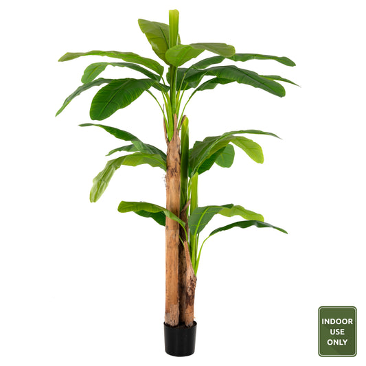 Decorative Synthetic Plant Hm7978 BanΑΝΑ Tree In Pot 200h Cm.