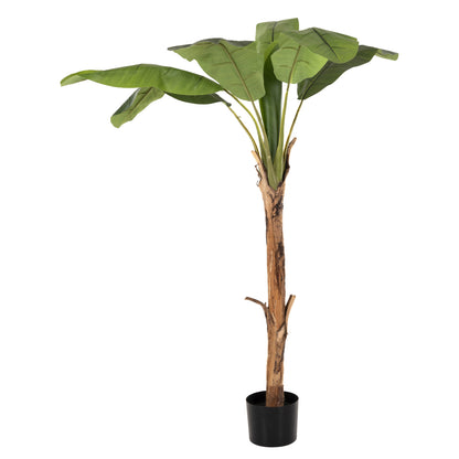 Decorative Synthetic Plant Hm7979 BanΑΝΑ Tree (1) In Pot 180h Cm.