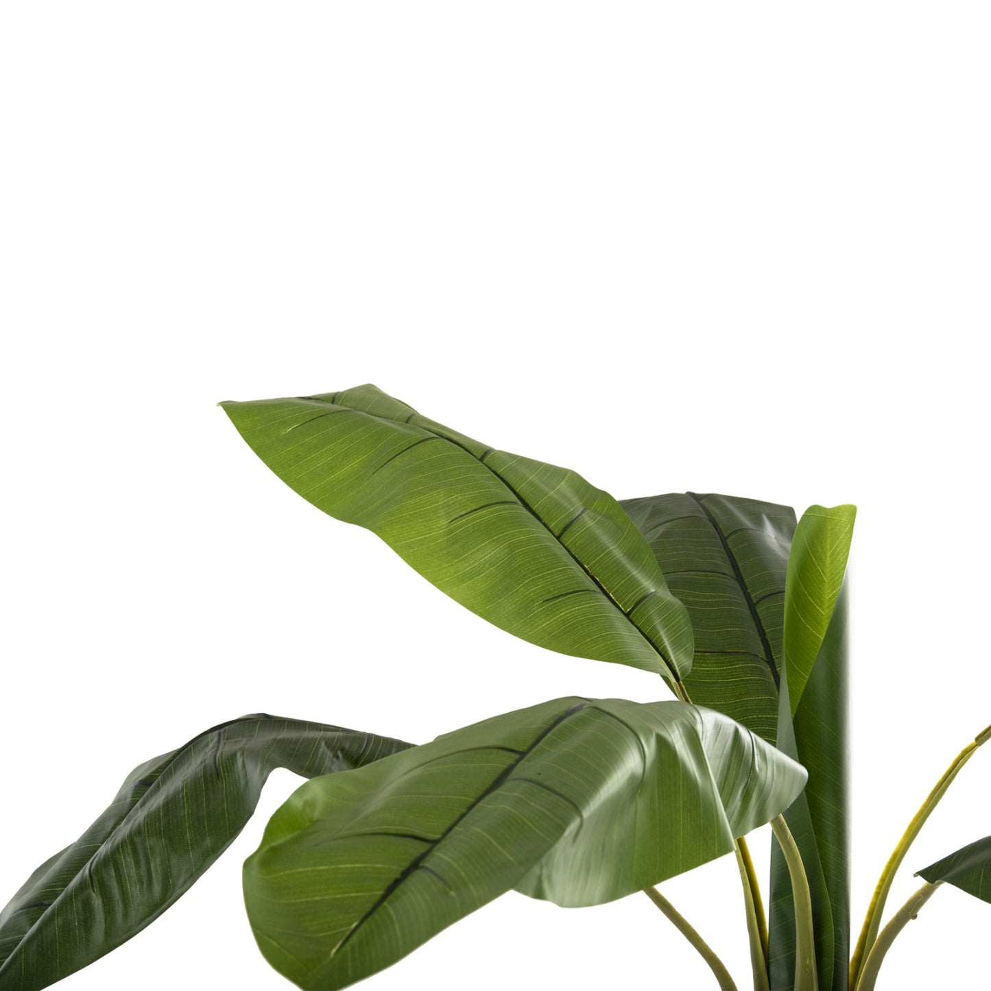 Decorative Synthetic Plant Hm7979 BanΑΝΑ Tree (1) In Pot 180h Cm.