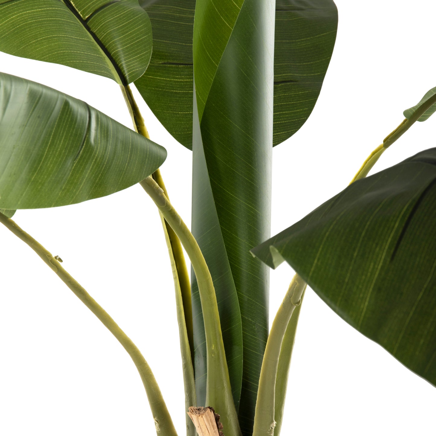Decorative Synthetic Plant Hm7979 BanΑΝΑ Tree (1) In Pot 180h Cm.