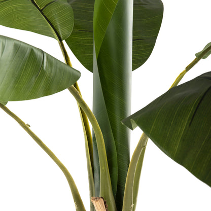 Decorative Synthetic Plant Hm7979 BanΑΝΑ Tree (1) In Pot 180h Cm.