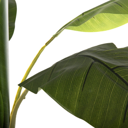 Decorative Synthetic Plant Hm7979 BanΑΝΑ Tree (1) In Pot 180h Cm.