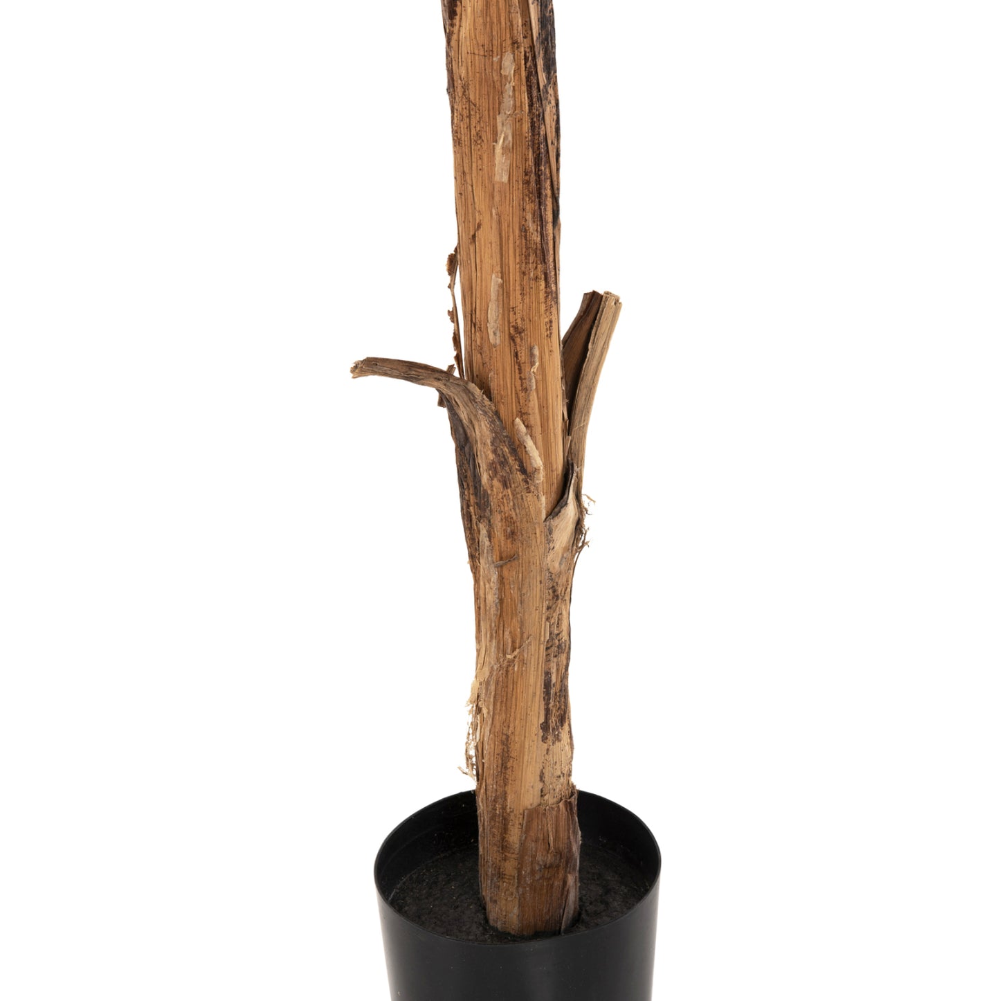 Decorative Synthetic Plant Hm7979 BanΑΝΑ Tree (1) In Pot 180h Cm.