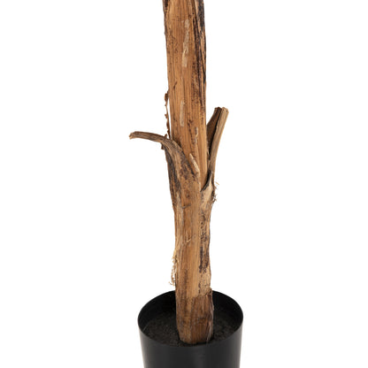 Decorative Synthetic Plant Hm7979 BanΑΝΑ Tree (1) In Pot 180h Cm.