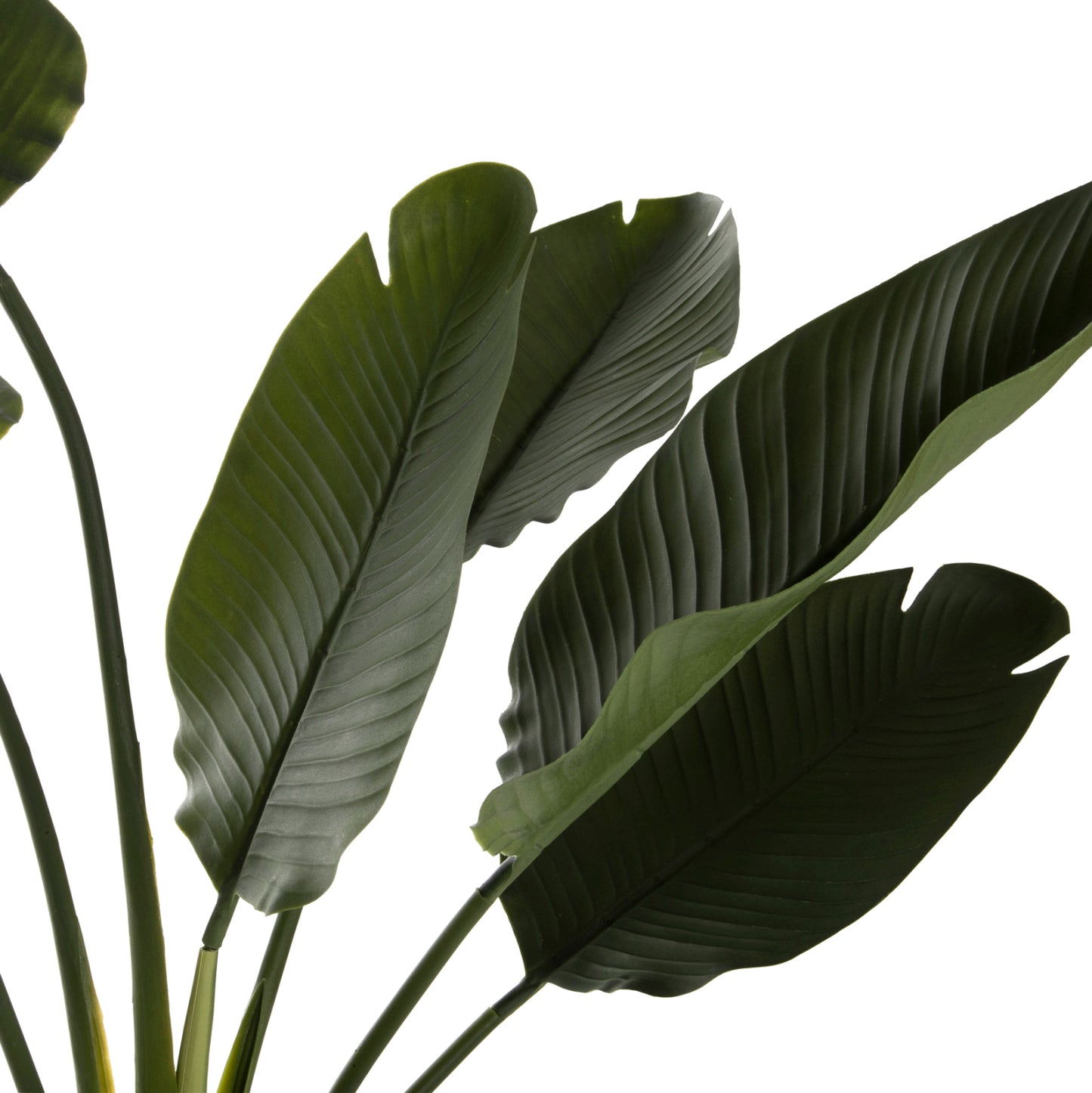 Synthetic Plant Strelitziaceae - H150cm