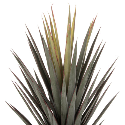 Decorative Synthetic Plant In Pot Hm7987 Sisal Agave 120hcm.