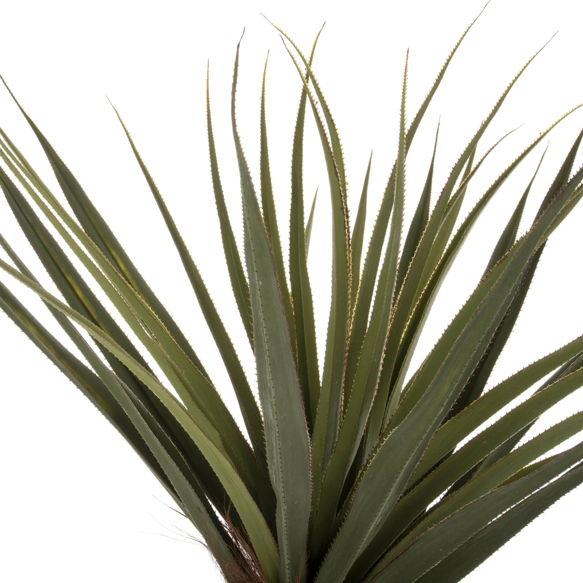 Decorative Synthetic Plant In Pot Hm7988 Sisal Tree Φ23x18-180hcm.