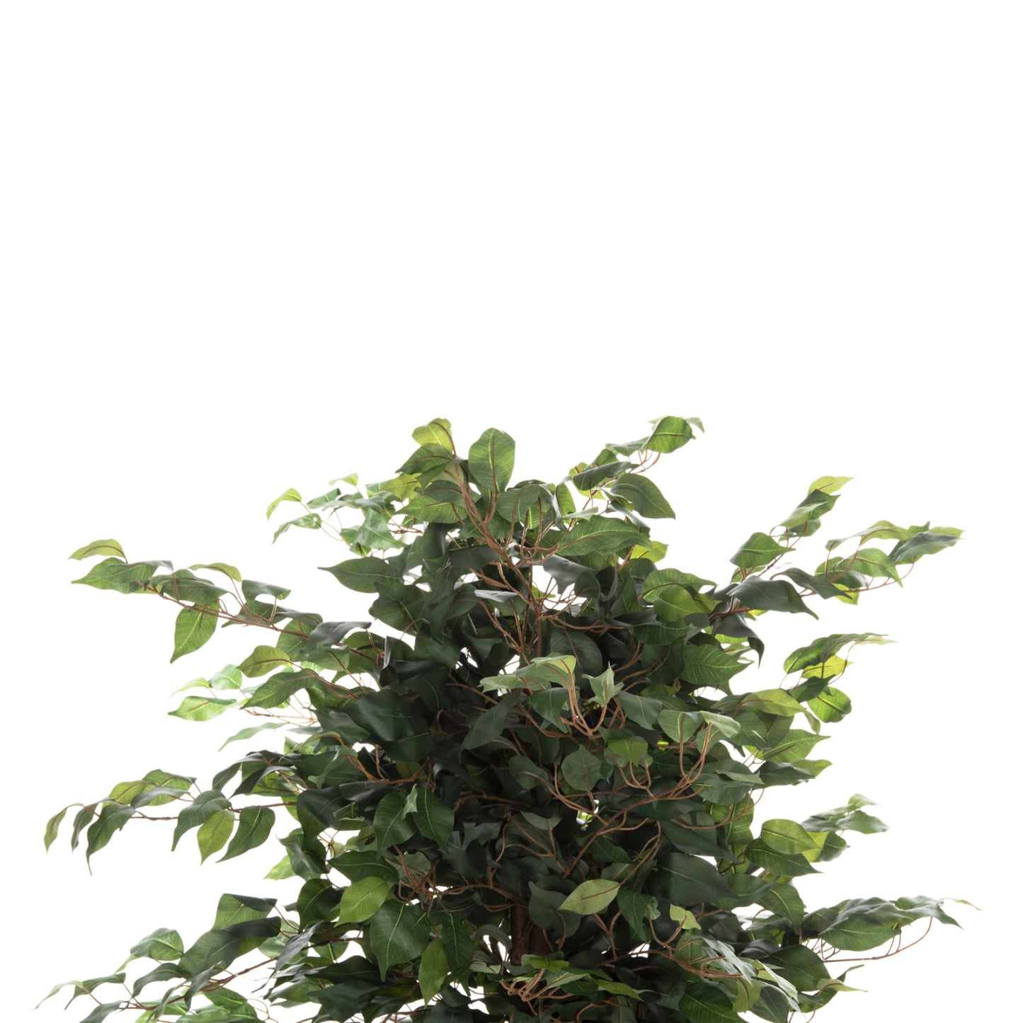 Decorative Synthetic Plant Hm7992 Banyan Tree In Pot 136h Cm.