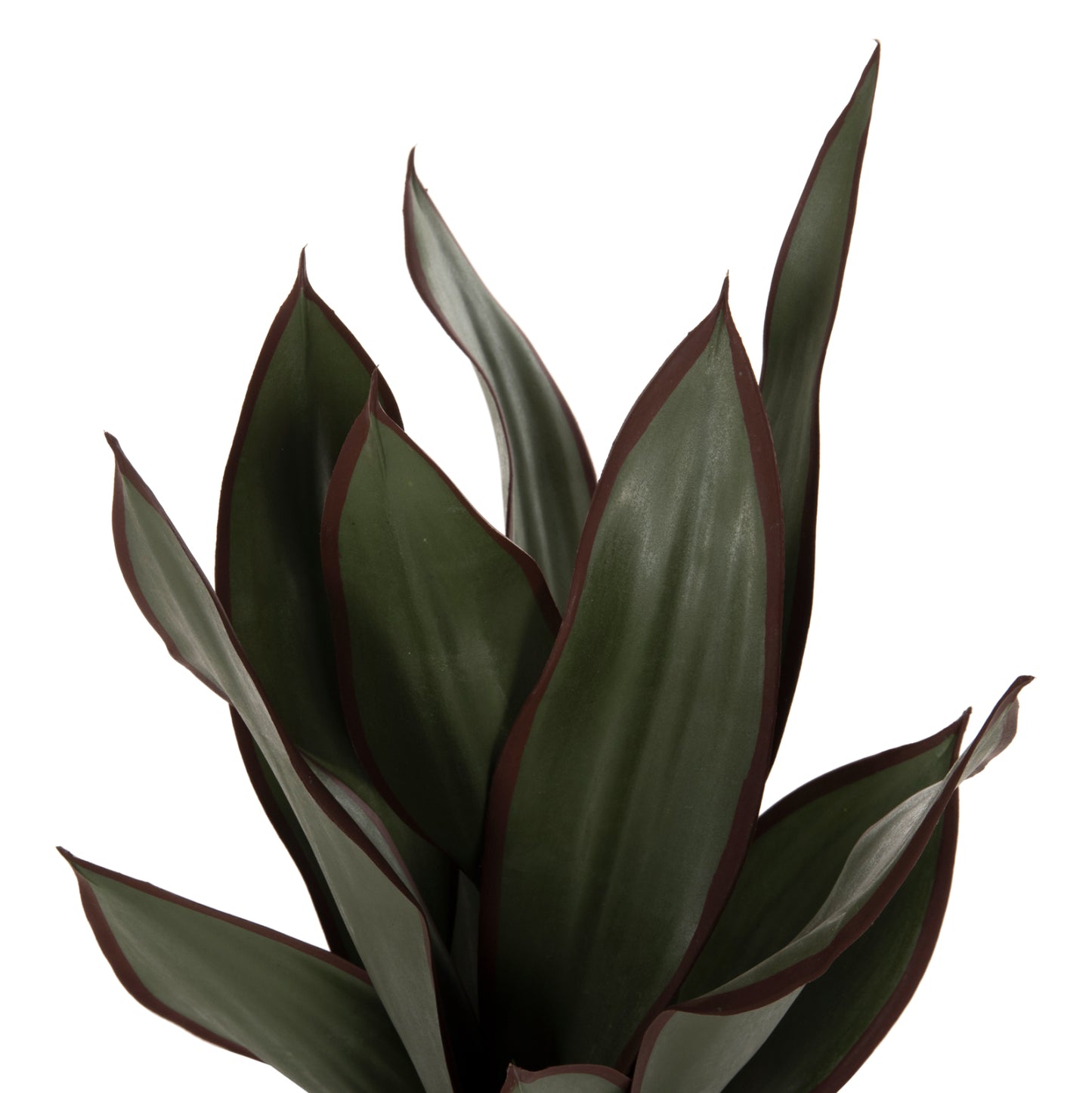 Decorative Synthetic Plant In Pot Hm7996 Broadleaf Sansevieria Φ14x12-51Υεκ.