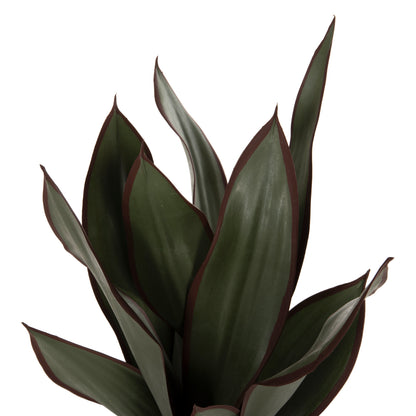 Decorative Synthetic Plant In Pot Hm7996 Broadleaf Sansevieria Φ14x12-51Υεκ.