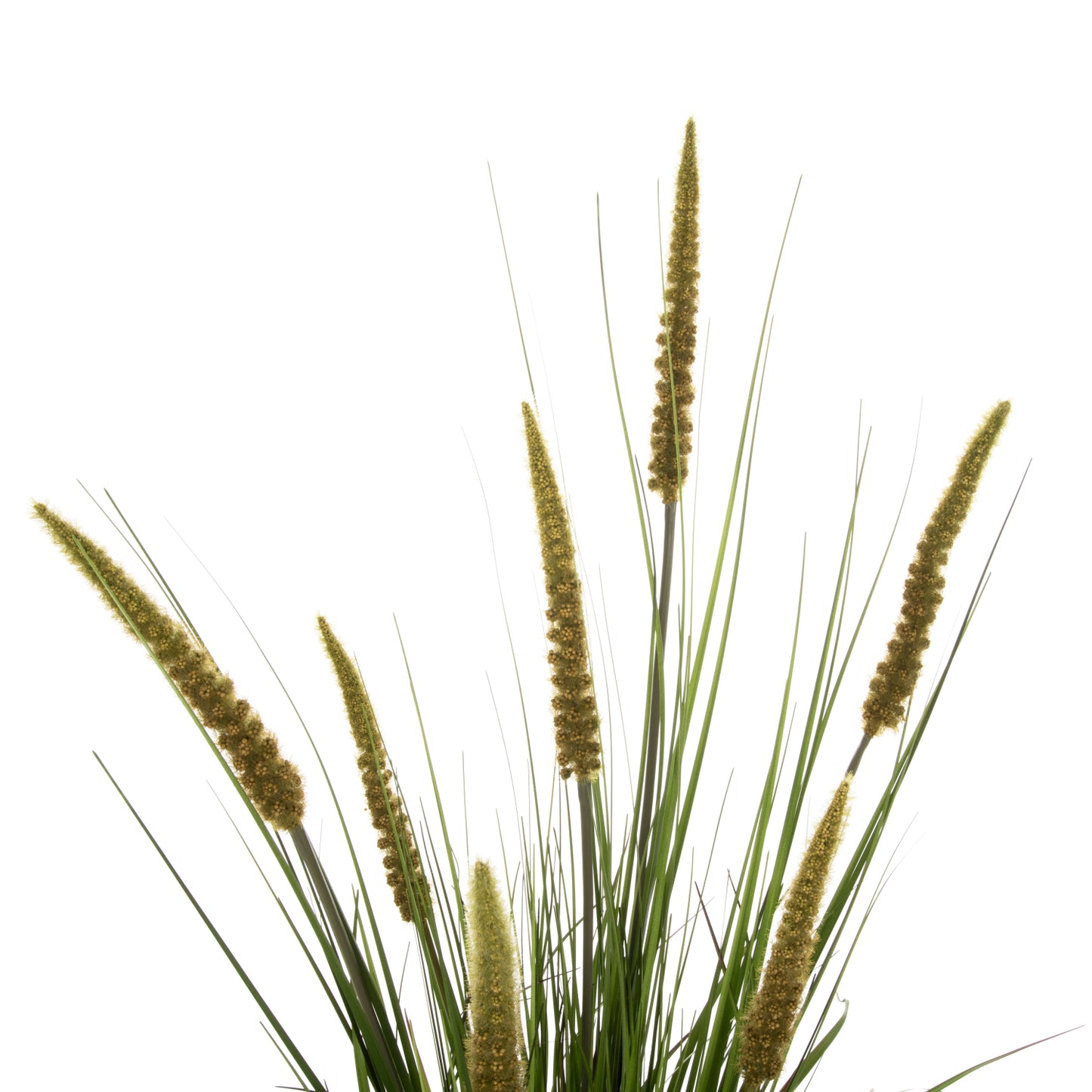 Synthetic Plant Ophiuros - H130cm