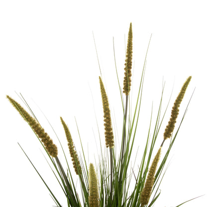 Synthetic Plant Ophiuros - H130cm