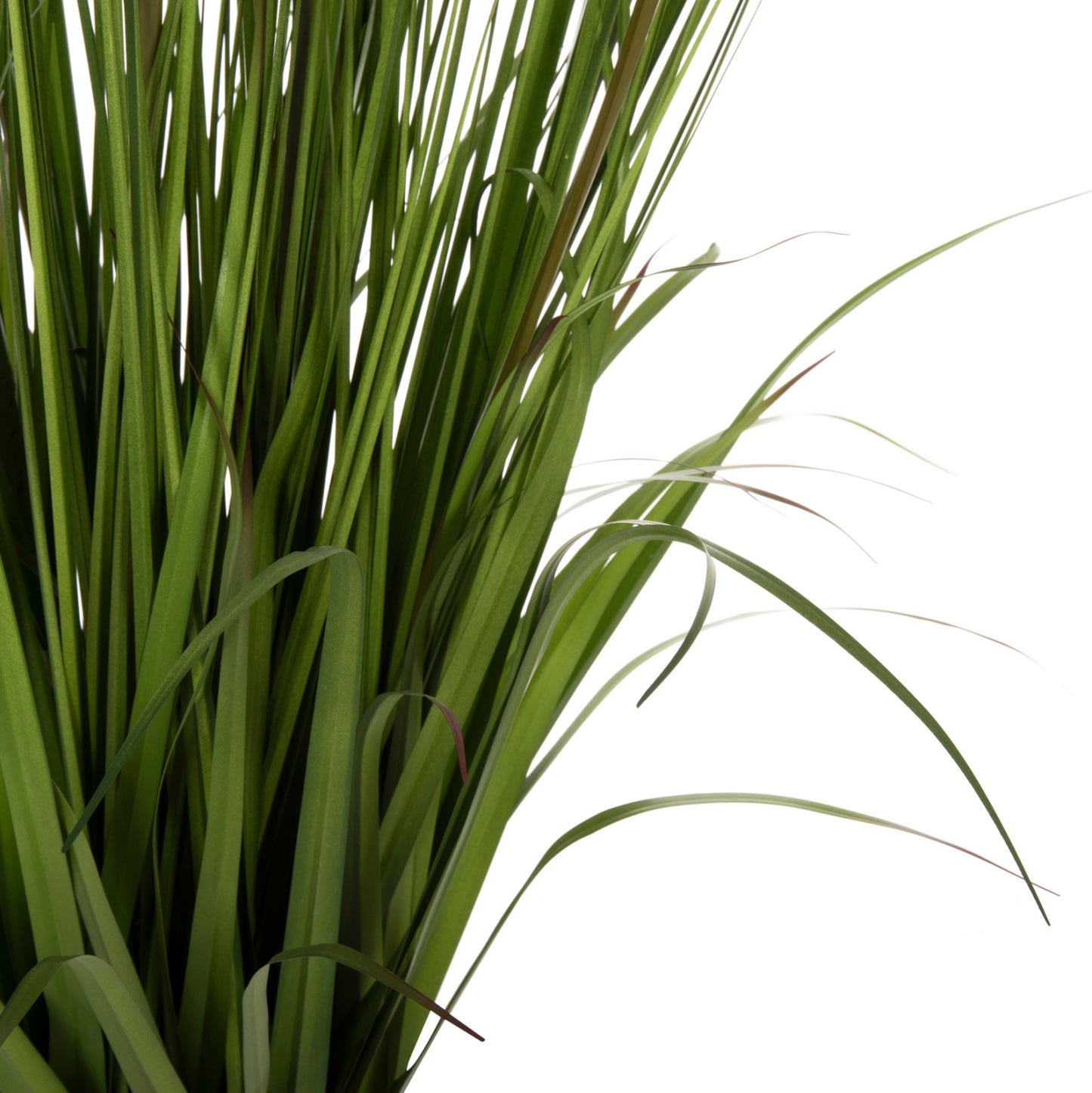 Synthetic Plant Ophiuros - H130cm