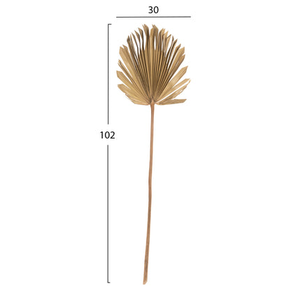 Wall Decor Hm7876 Dried Palm Leaf In Natural Color 30x102x3 Cm.