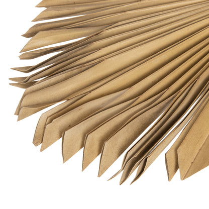 Wall Decor Hm7876 Dried Palm Leaf In Natural Color 30x102x3 Cm.