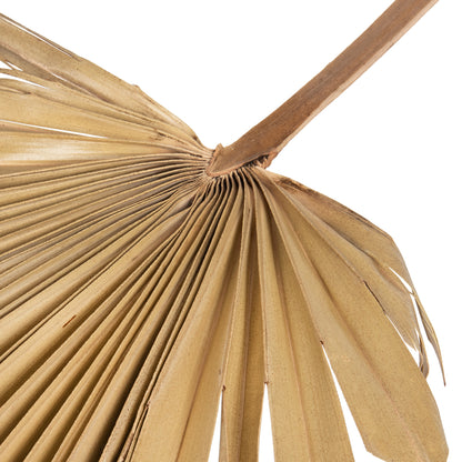 Wall Decor Hm7876 Dried Palm Leaf In Natural Color 30x102x3 Cm.