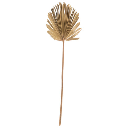 Wall Decor Hm7876 Dried Palm Leaf In Natural Color 30x102x3 Cm.