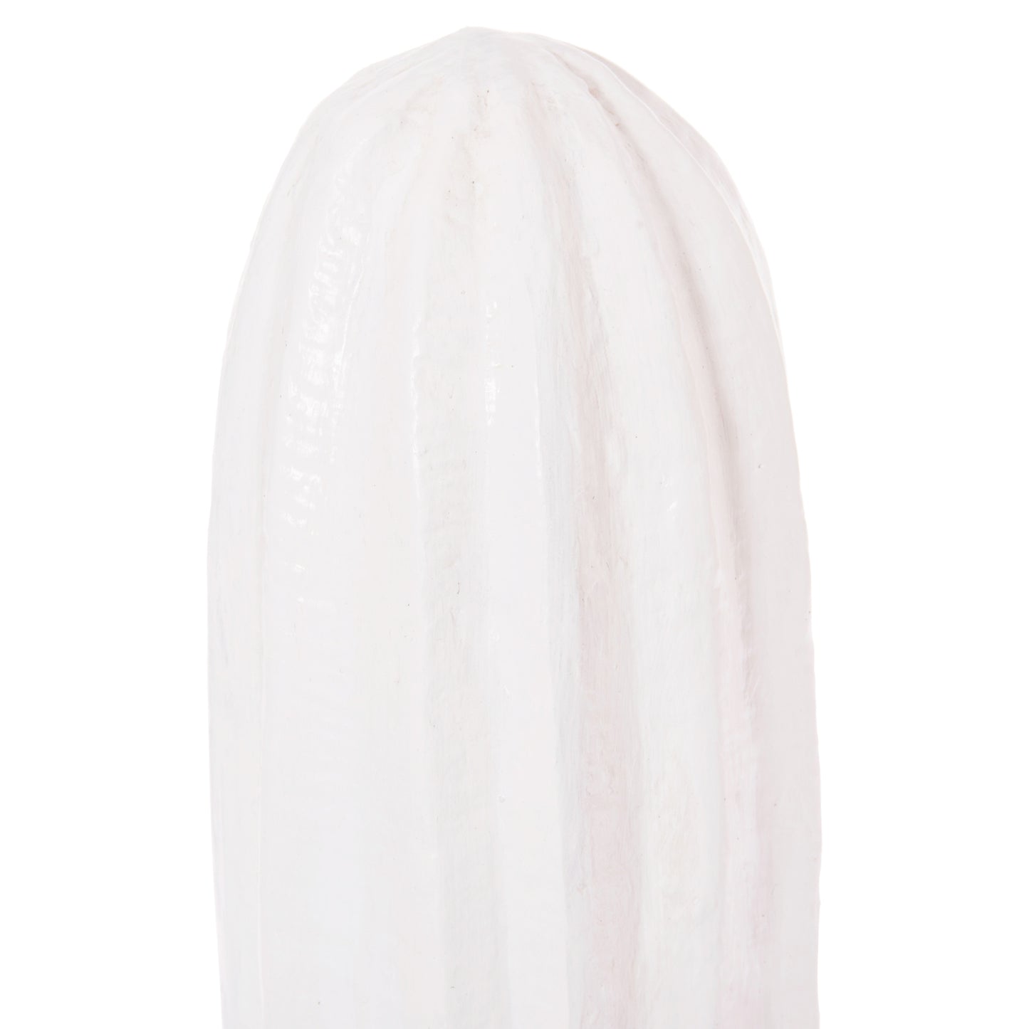 Decorative Floor Standing Cactus Hm4386.02s Plaster In White 42x30x74hcm.