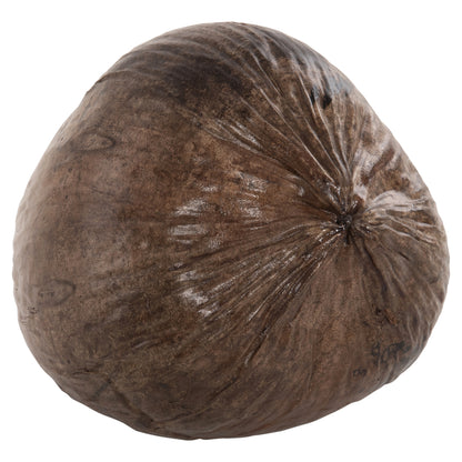 Table Decoration Hm4326.01 Coconut In Natural Color 20x20x20hcm.