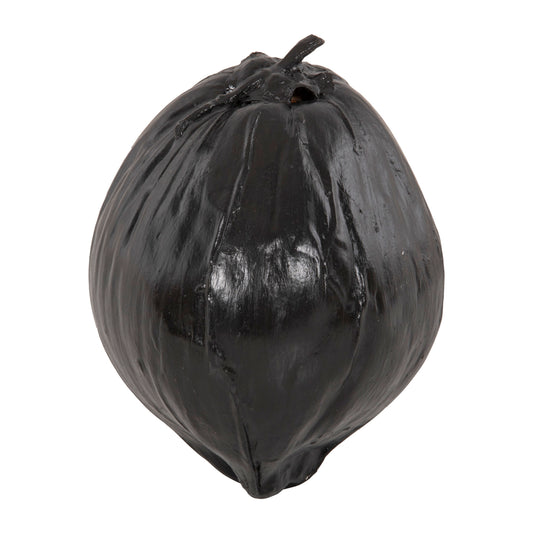 Table Decoration Hm4326.02 Coconut In Black Color 20x20x20hcm.
