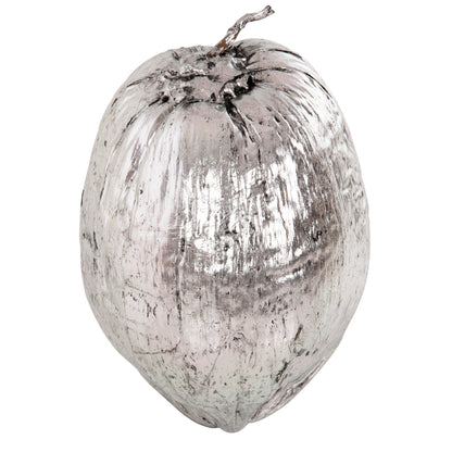 Table Decoration Hm4326.04 Coconut In Silver Color 20x20x20hcm.