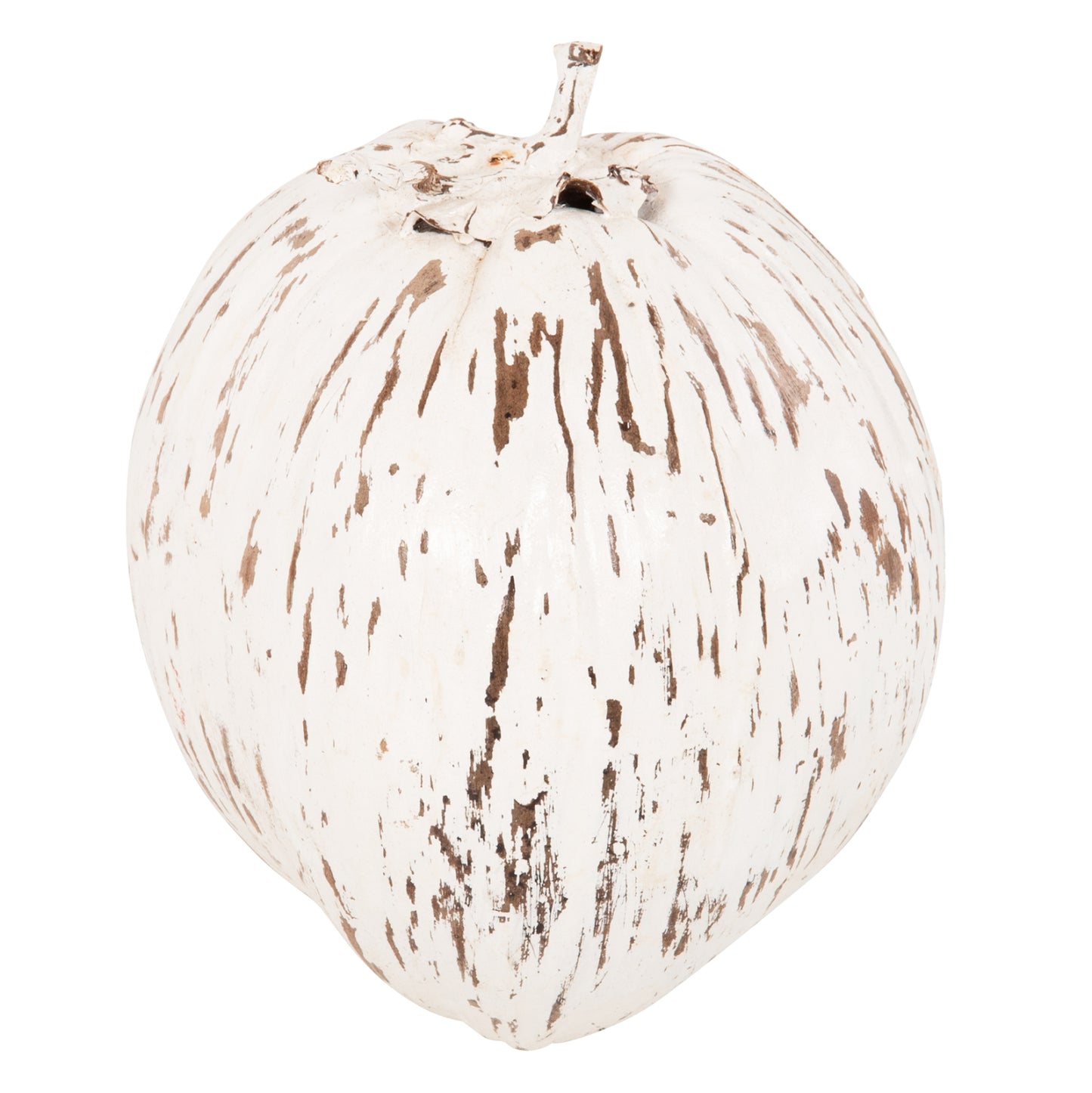 Table Decoration Hm4326.05 Coconut In White Color 20x20x20hcm.